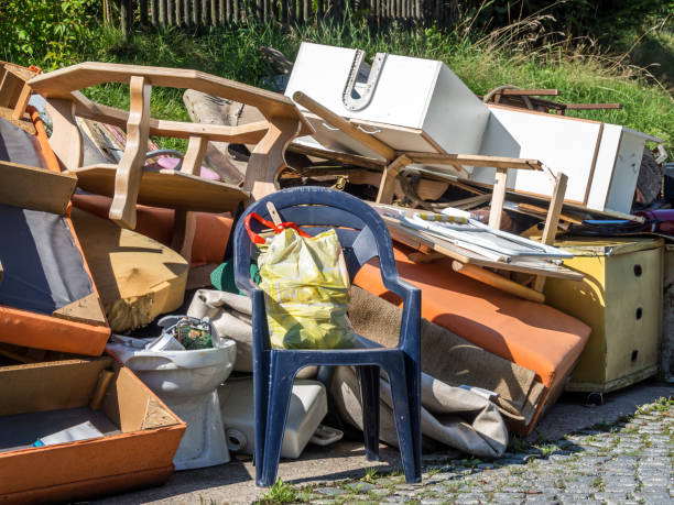 Yard Cleanup Services in Dranesville, VA